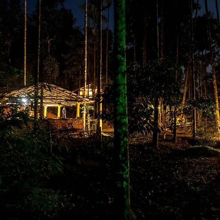 Wooden Cottages Glen Wayanad Meppādi Exterior foto