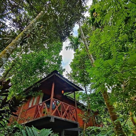Wooden Cottages Glen Wayanad Meppādi Exterior foto