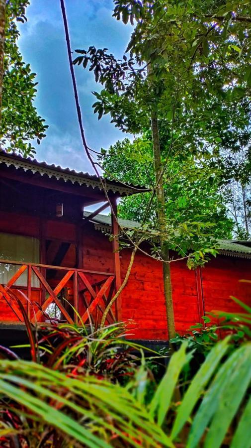 Wooden Cottages Glen Wayanad Meppādi Exterior foto