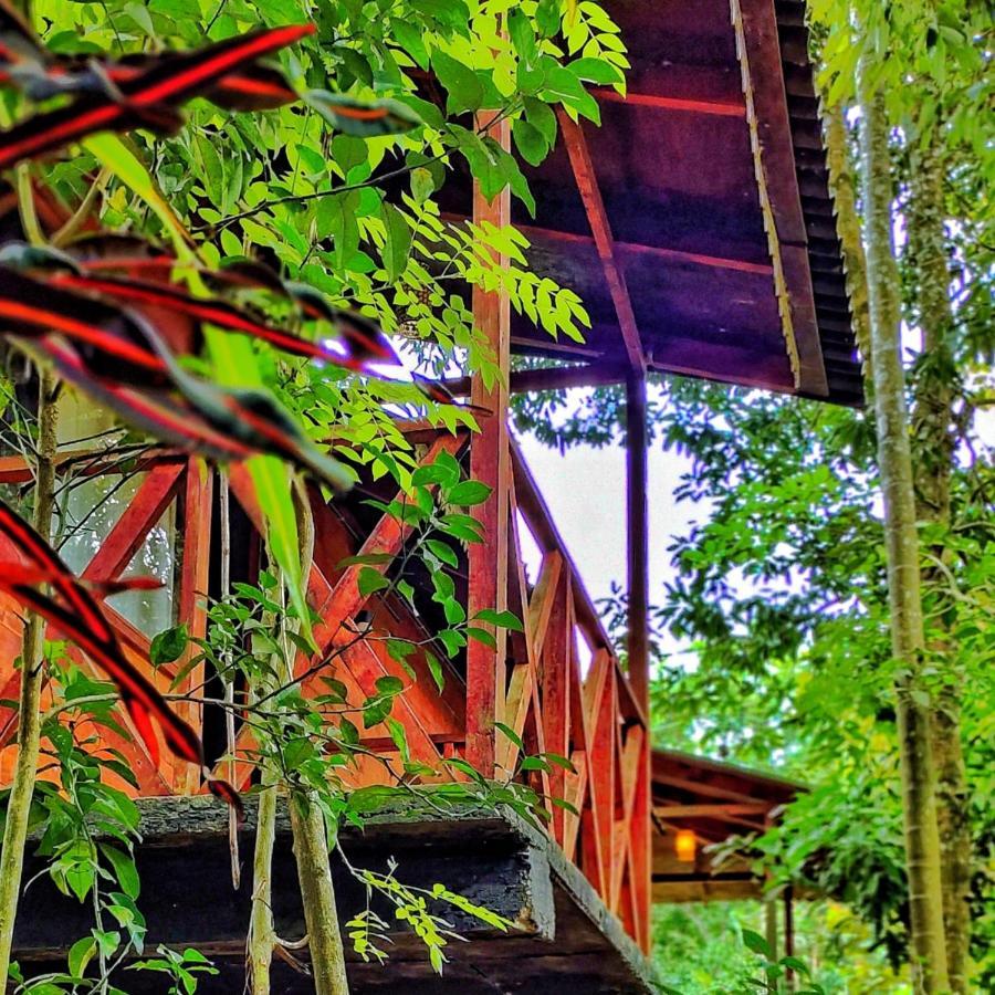 Wooden Cottages Glen Wayanad Meppādi Exterior foto