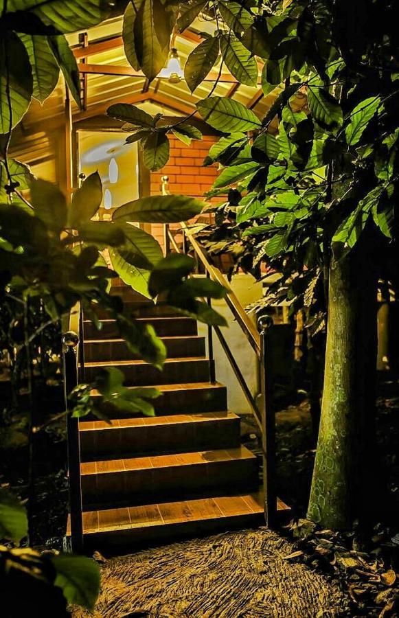 Wooden Cottages Glen Wayanad Meppādi Exterior foto