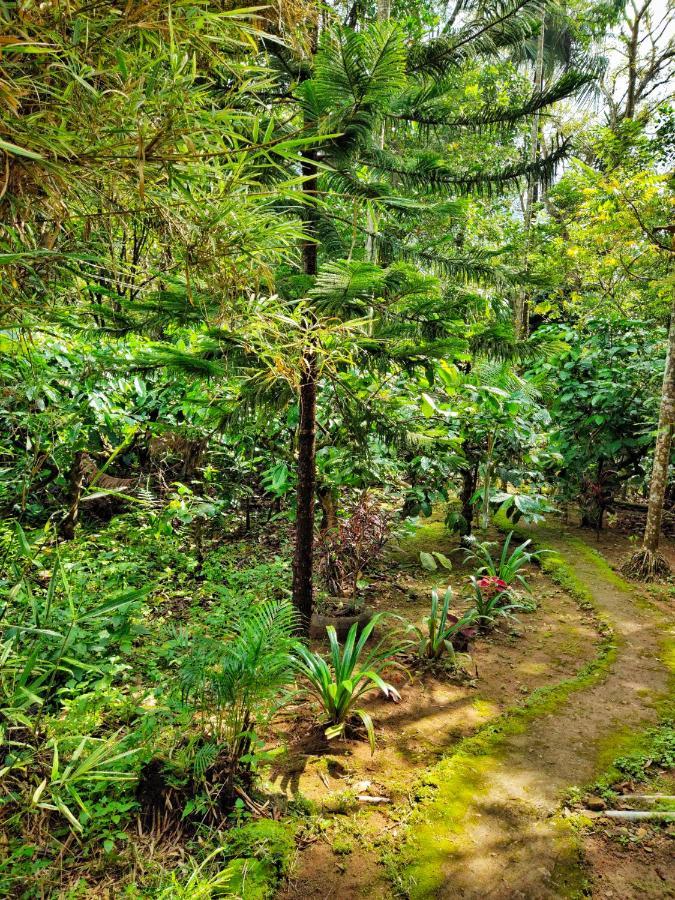 Wooden Cottages Glen Wayanad Meppādi Exterior foto