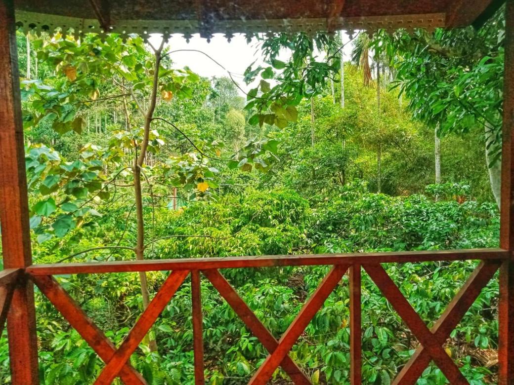 Wooden Cottages Glen Wayanad Meppādi Exterior foto