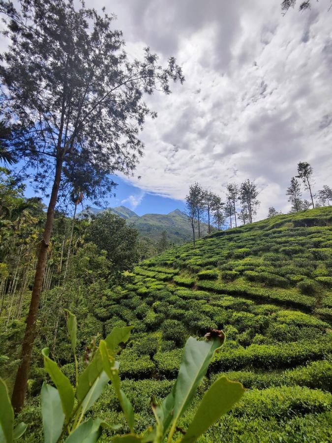 Wooden Cottages Glen Wayanad Meppādi Exterior foto