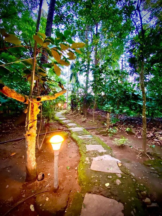 Wooden Cottages Glen Wayanad Meppādi Exterior foto