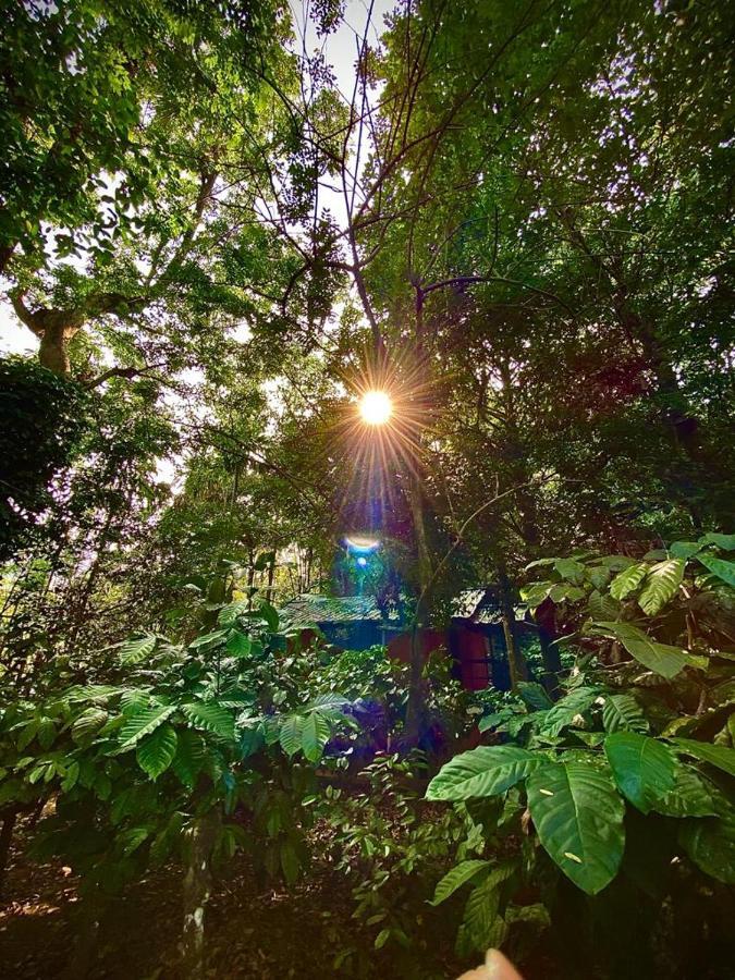 Wooden Cottages Glen Wayanad Meppādi Exterior foto