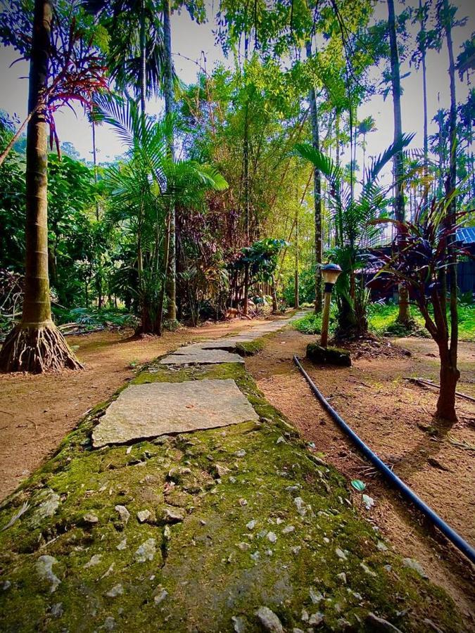 Wooden Cottages Glen Wayanad Meppādi Exterior foto